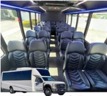 White executive mini bus